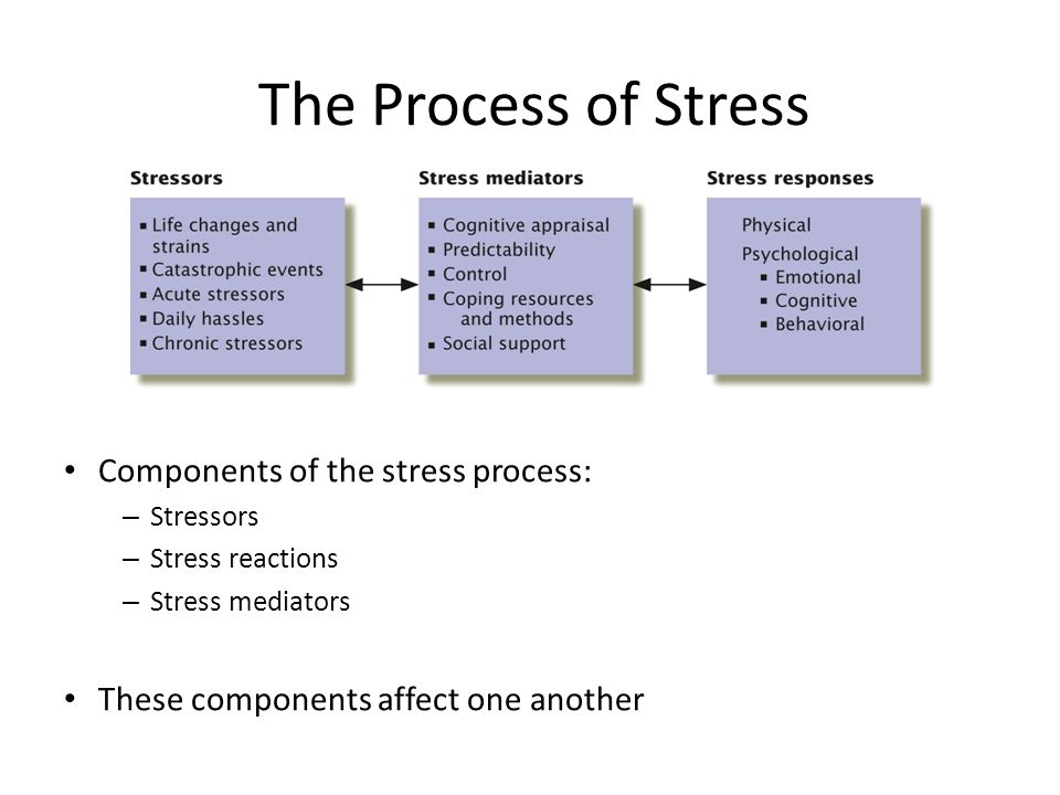 Identify the components of which stress is comprised